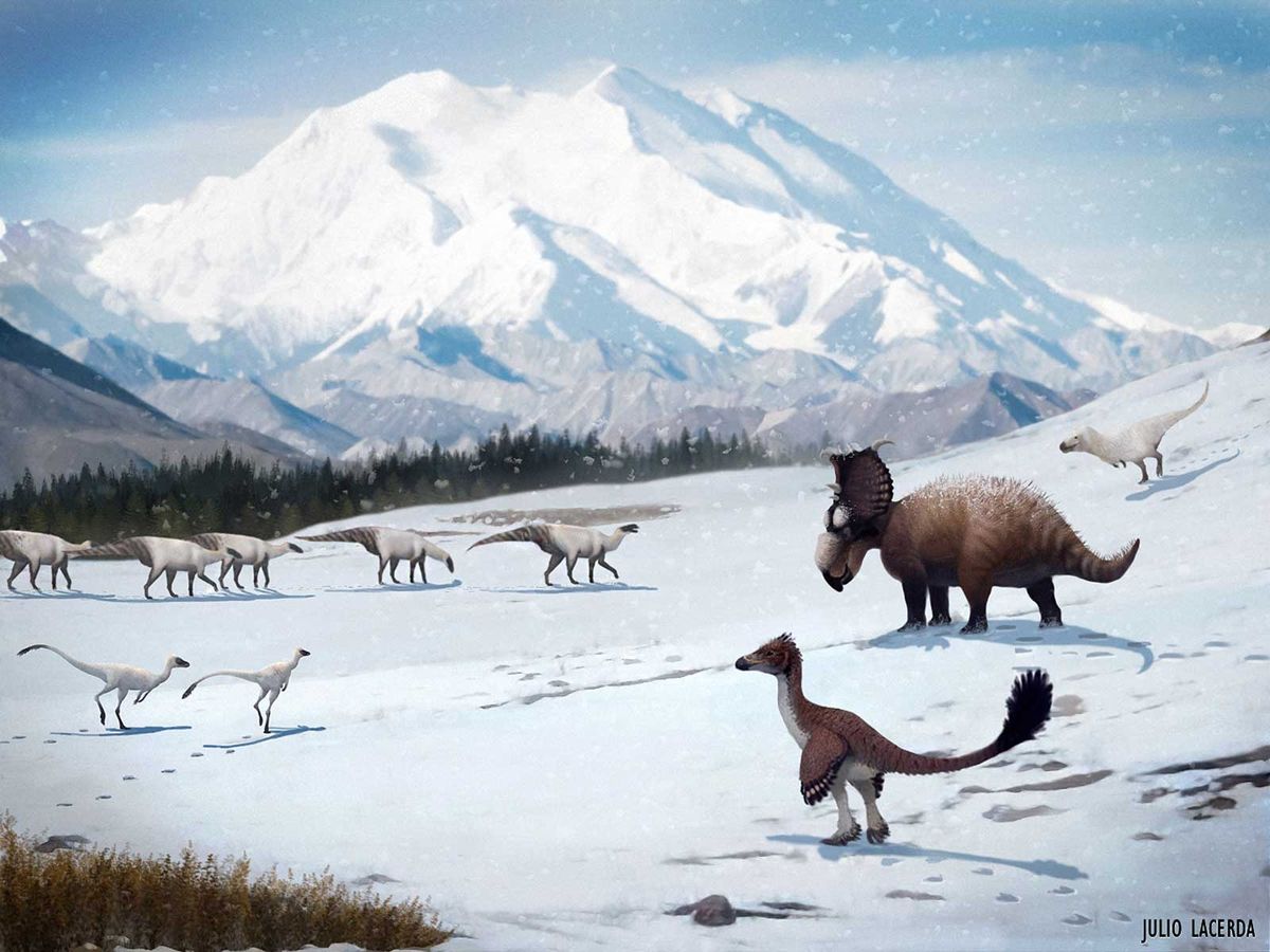 Hunting Alaskan Dinosaur's รีวิวหนัง